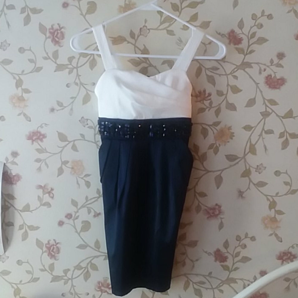 Pretty Navy Blue and White Dress